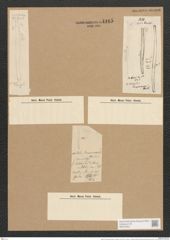 Nitzschia vermicularis (Kuetz.) Hantzsch. (de-Toni-Nr.: Genus 47, Species 2094) Zeichnungen Sammlung Grunow Nr. 4165 (NHMW-BOT-W0372054)